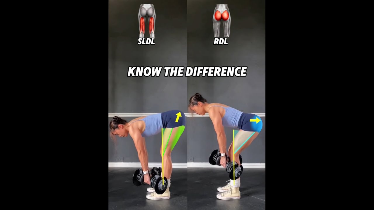 RDL vs SLDL know the differences