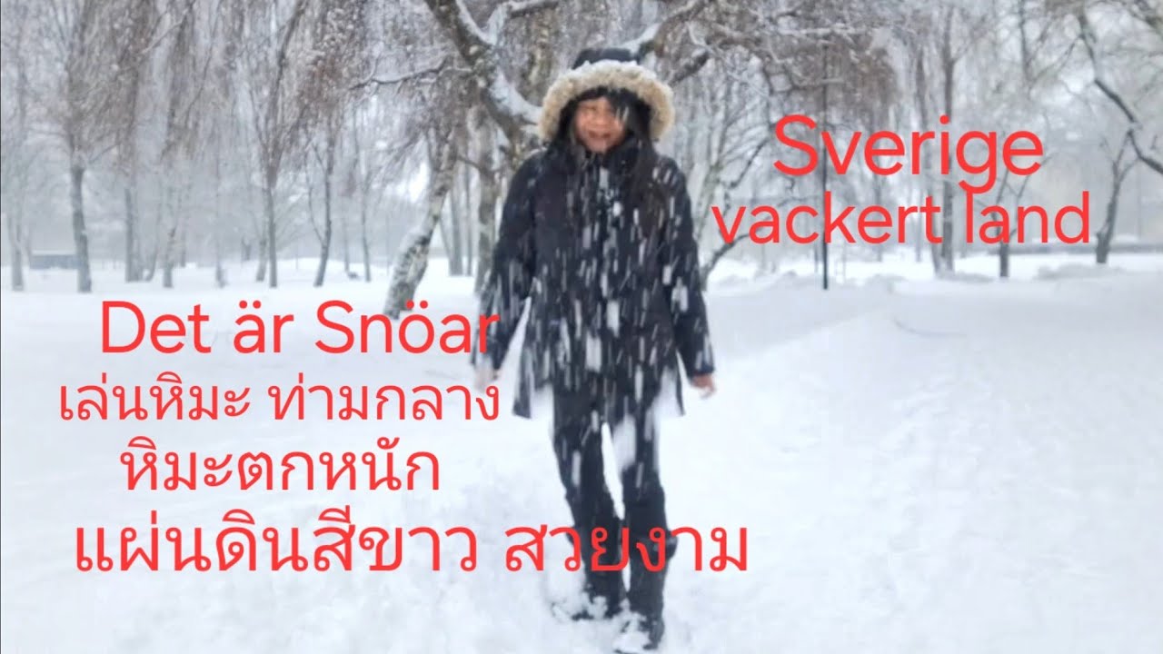 EP. 1093 Sweden/สวีเดน เล่นหิมะท่ามกลางหิมะตกหนัก แผ่นดินถูกปกคลุม เต็มไปด้วยหิมะสีขาว สวยงาม 