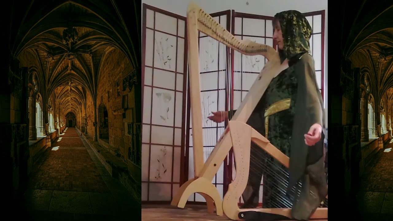 Benevolence Bequeathed: harp cover of Genshin Impact music