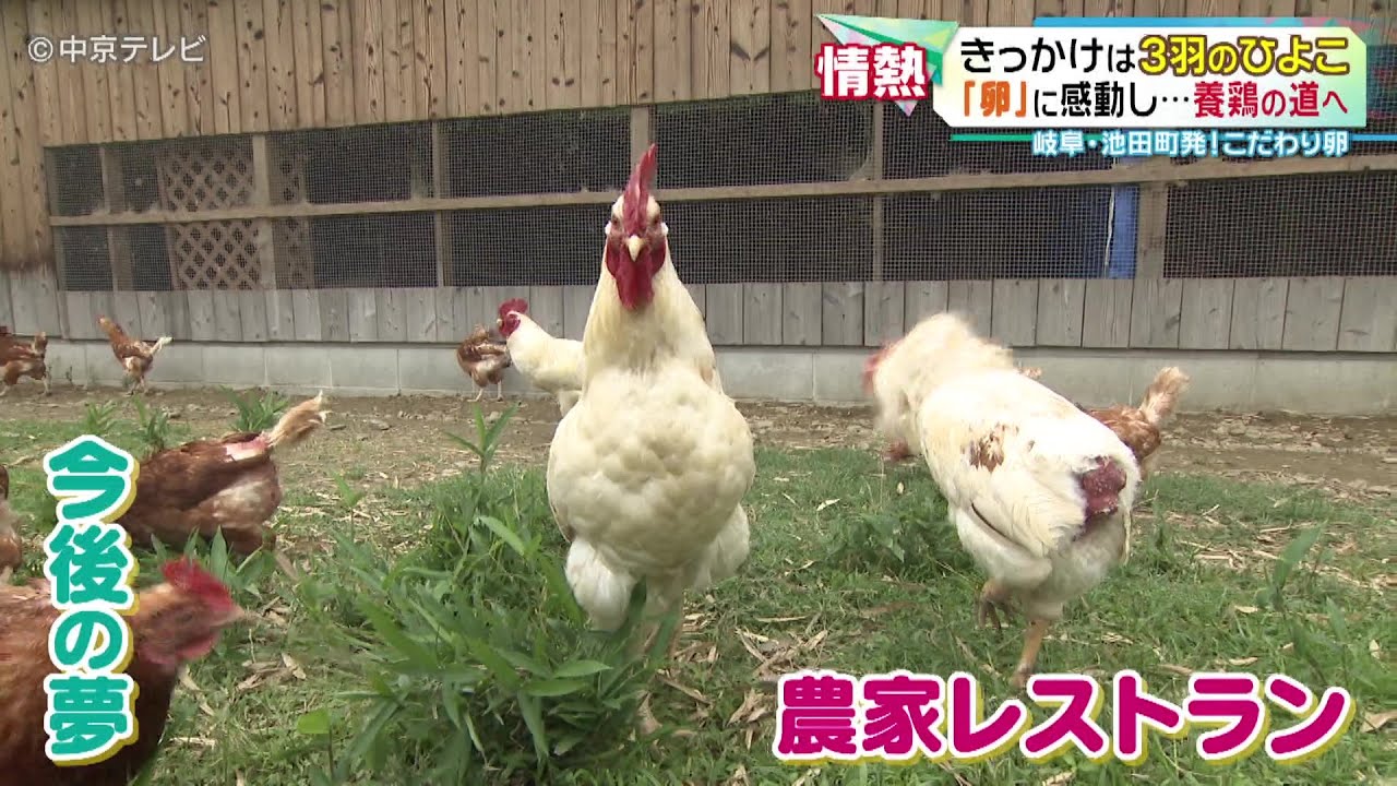【きっかけは３羽のひよこ】 「卵」に感動し…養鶏の道へ 岐阜・池田町発！こだわり卵