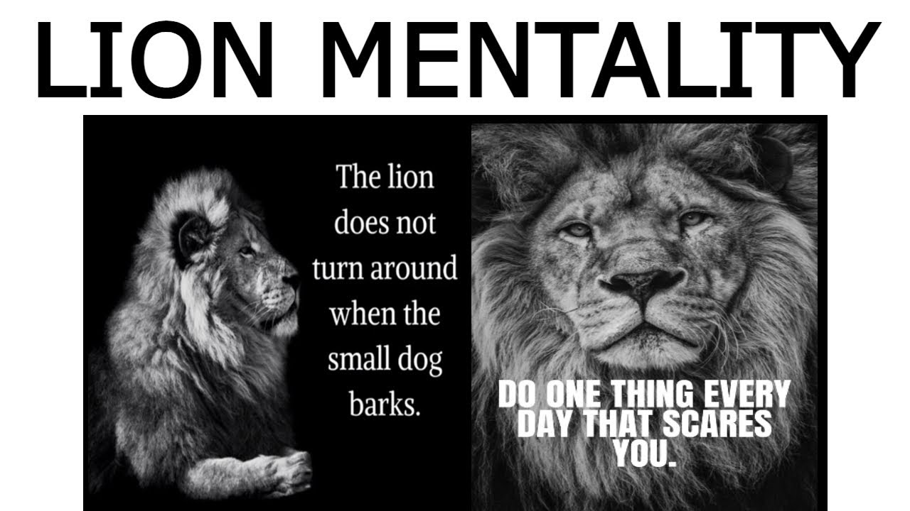 Lion Mentality | Meme Explained