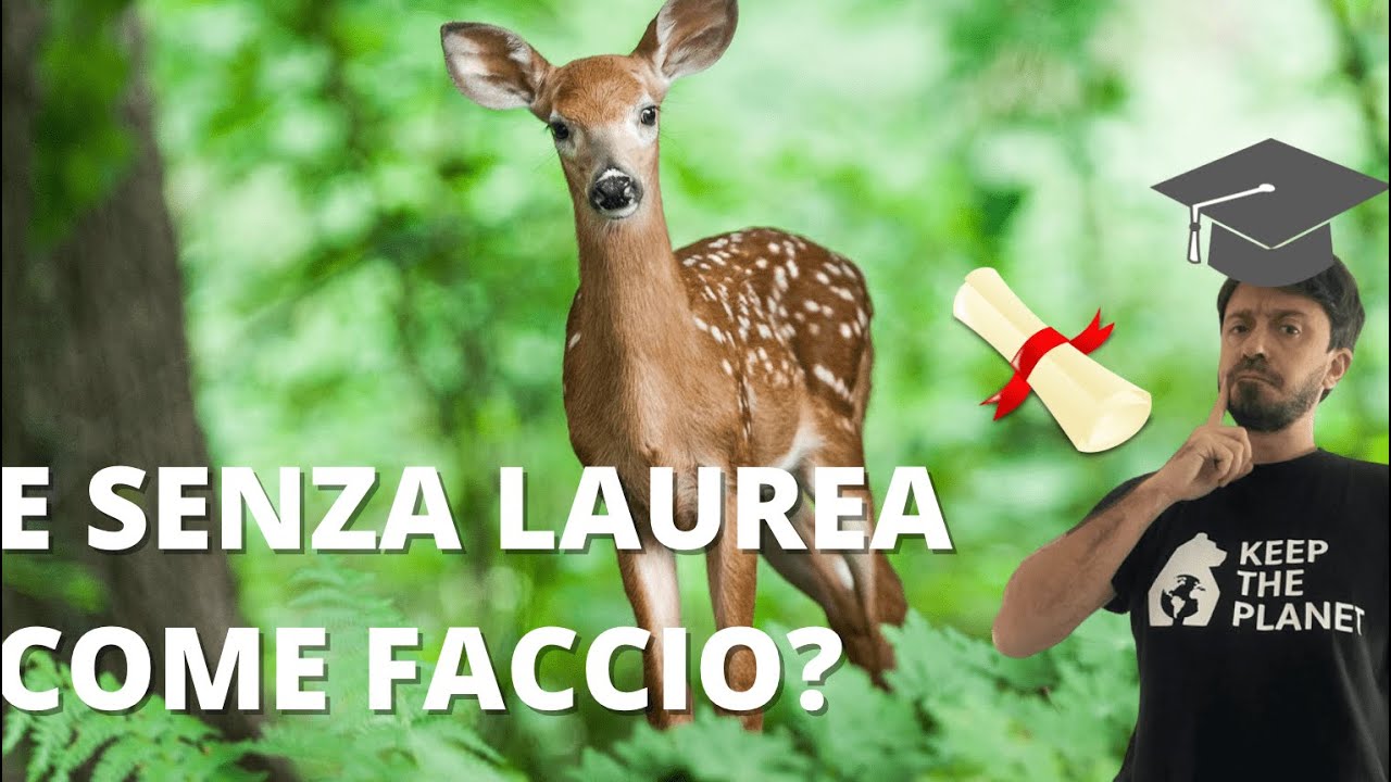 Lavorare nella tutela della natura 🦦 senza laurea è possibile?