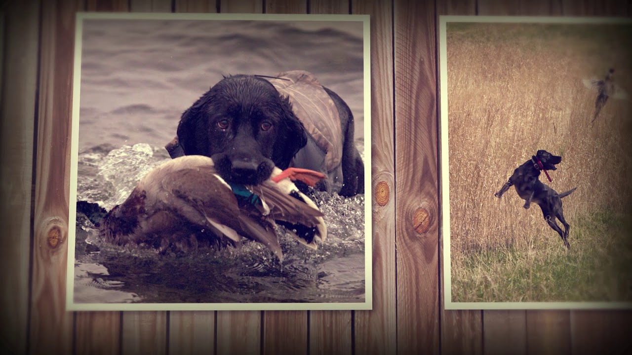 One Last Hunt