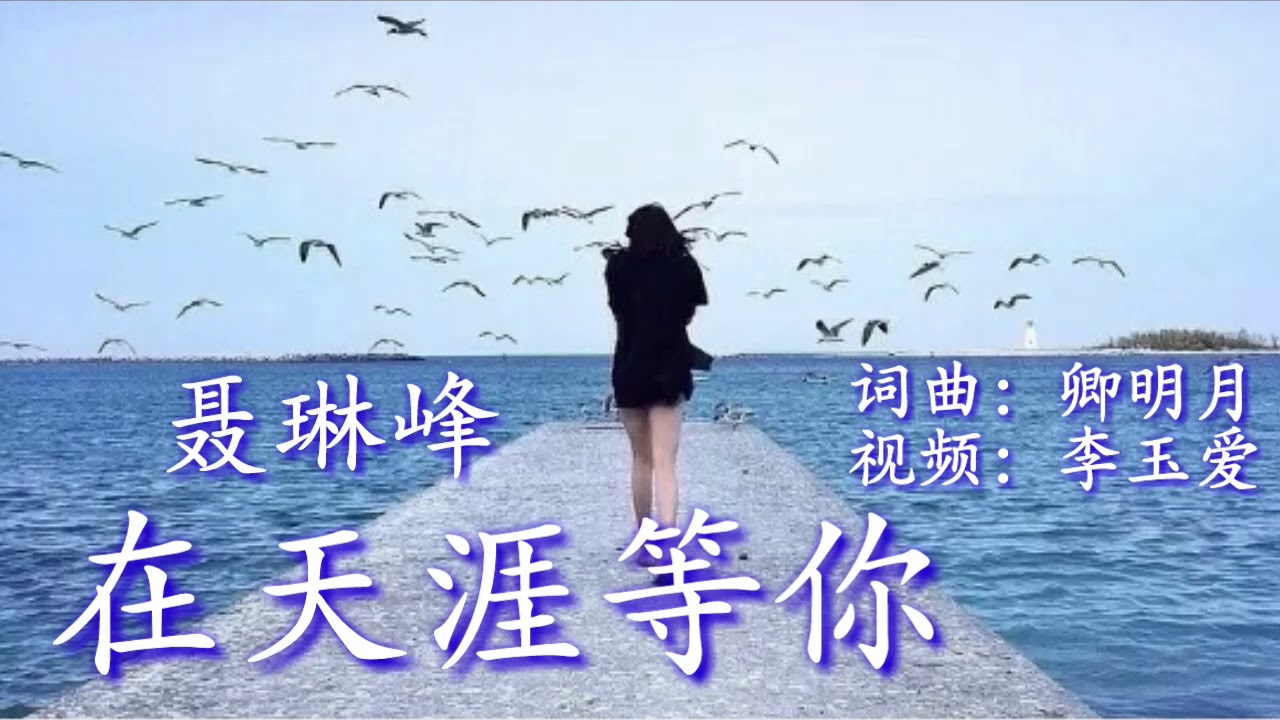 🎵❤一曲《在天涯等你》一听就上瘾 再听心已醉！