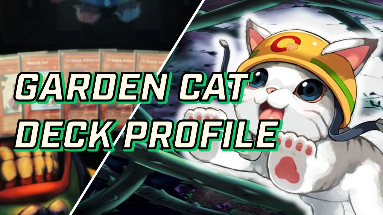 GARDEN CAT DECK PROFILE [EDISON FORMAT]