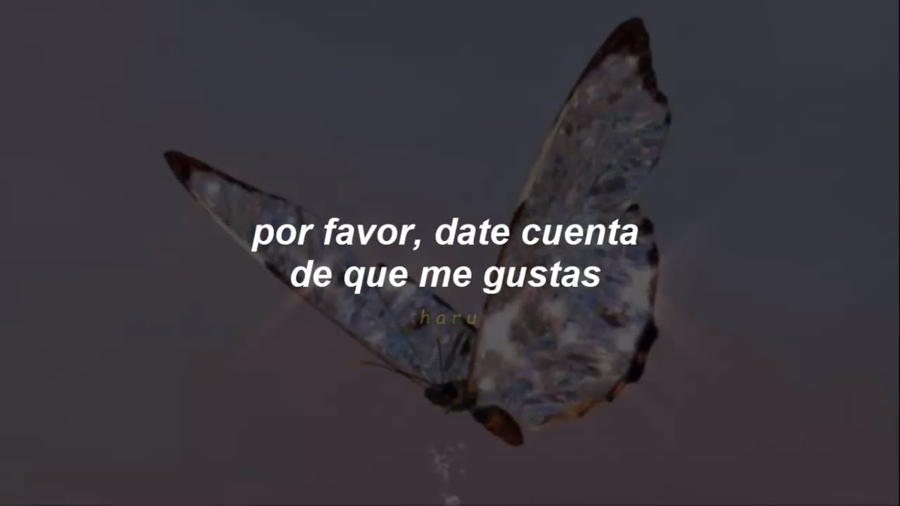 BOBBY • In THE DaRk // sub español