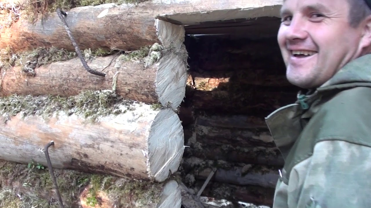 Постройка избы(зимовья) в лесу. #2