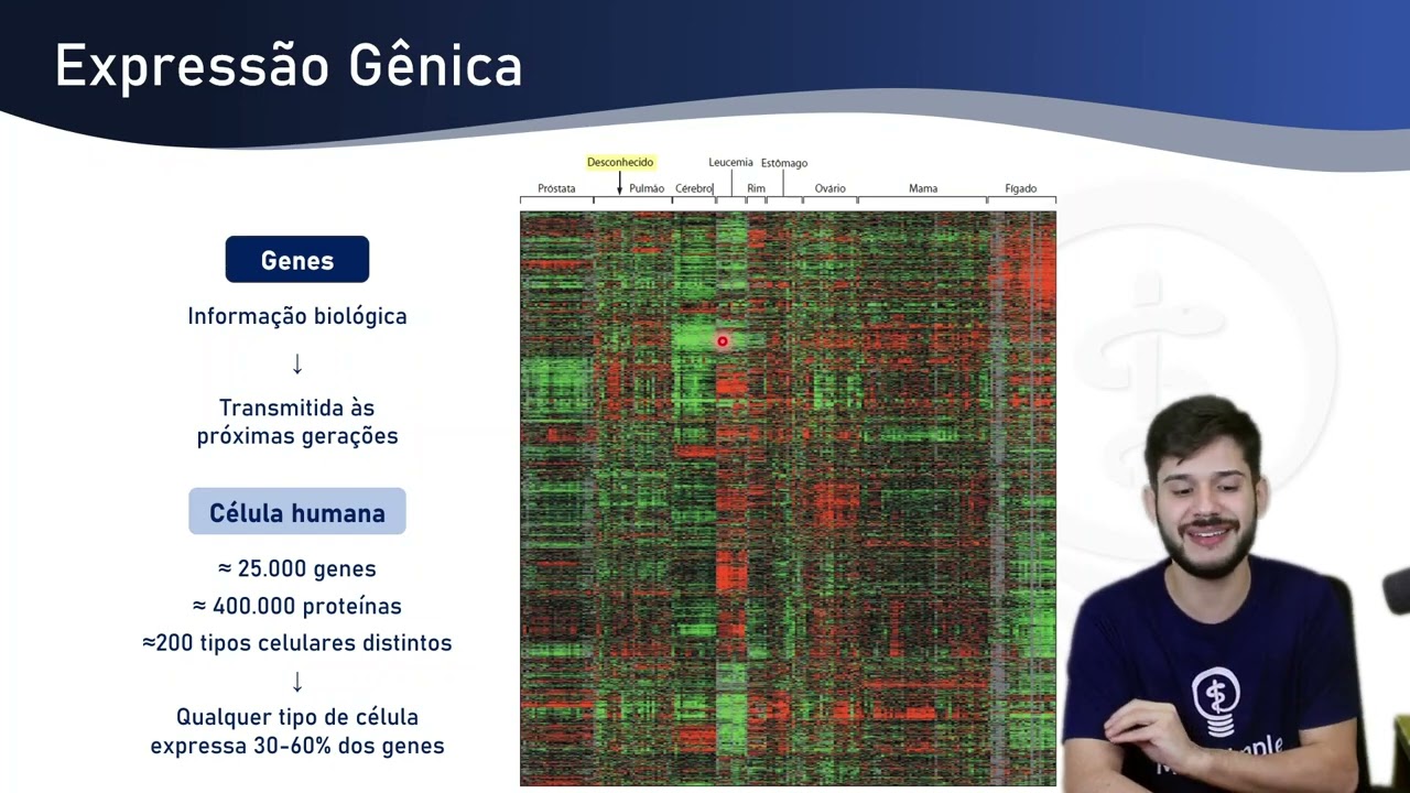 Diferenciação celular #medicina #biologia