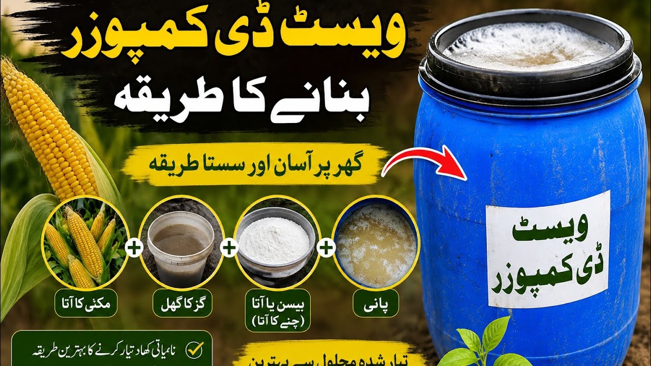 ویسٹ ڈی کمپوزر بنانے کا طریقہ