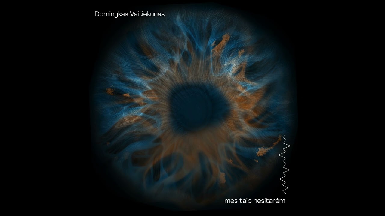 Dominykas Vaitiekūnas x Mes taip nesitarėm – Ne(kartu)