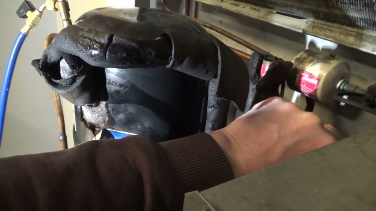 Foster - Zanotti Effed Up Freezer