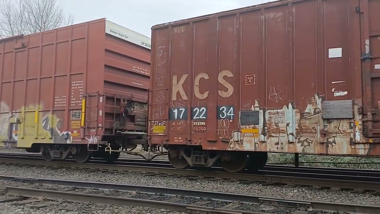 Boxcars and other freight car graffiti slowly rolling by