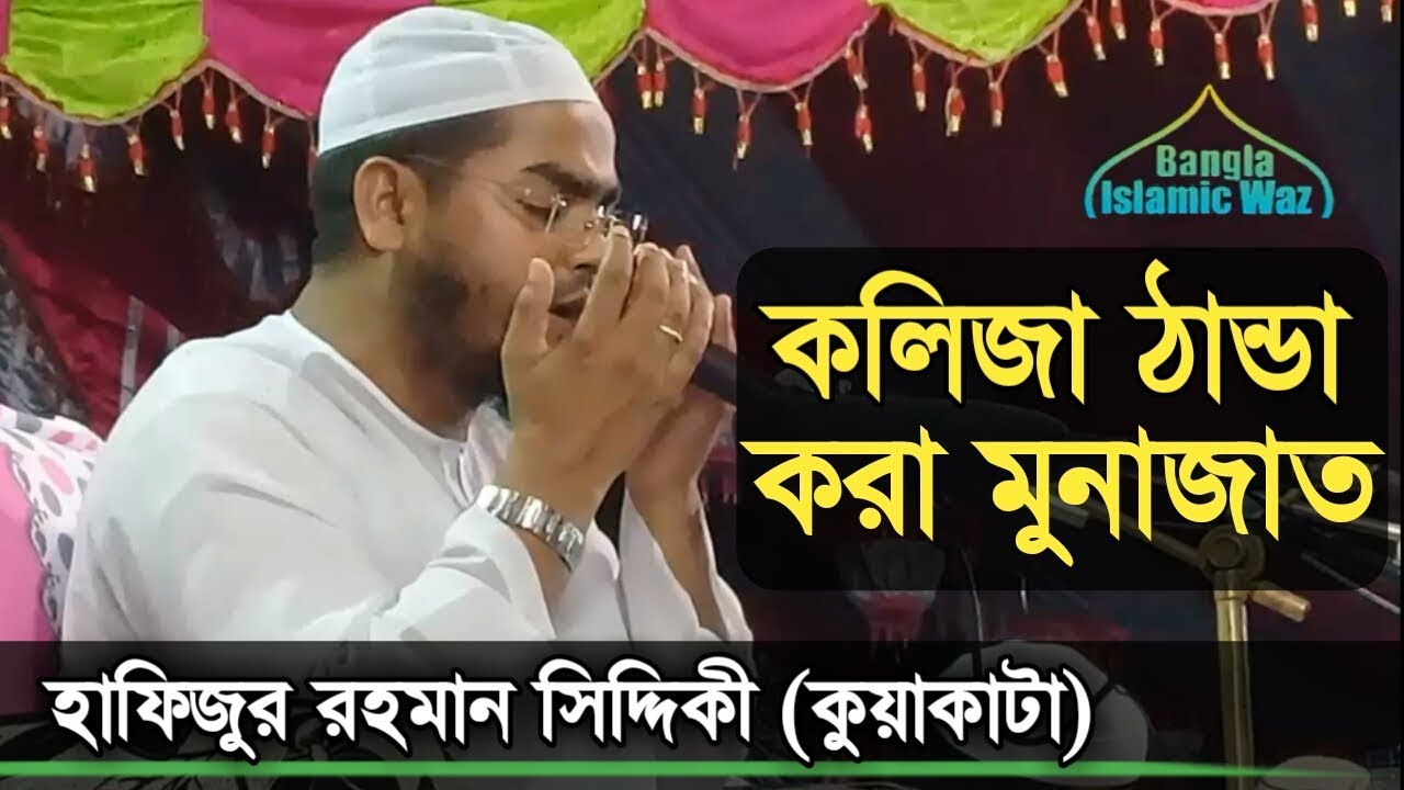 হৃদয় জুড়ানো মুনাজাত | হাফিজুর রহমান কুয়াকাটা | Hafizur Rahman | Monajat