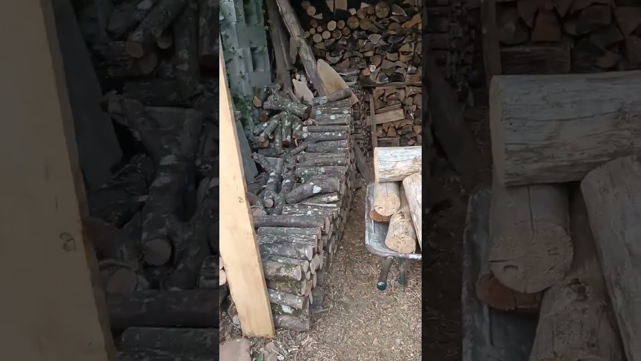 Día de corta de leña 