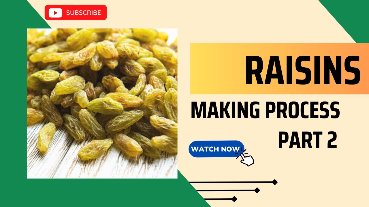 Raisins Making Process Part 2  #raisin #grapes