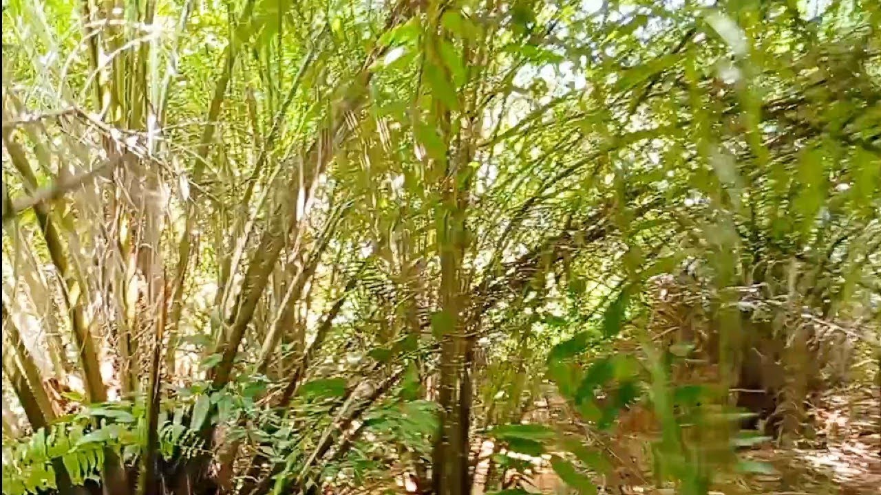 kawasan macam apa ini?