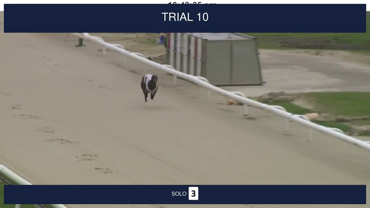 Nottingham Trials on 26th February 2026