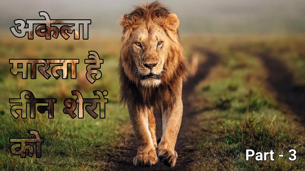 उम्र कम होने के बावजूद भी लड़ता है तीन ताकतवर शेरों से || The True Story Of African Lion ||