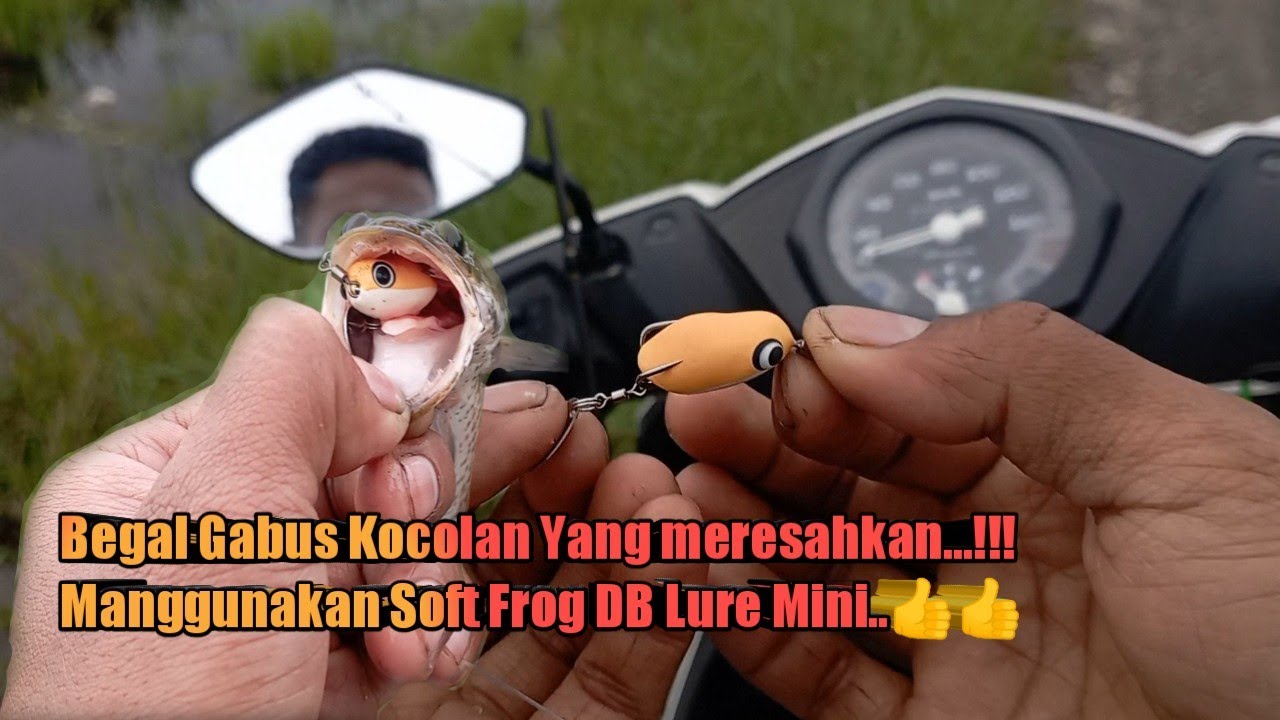 Mini Soft Frog 2,5cm DB Lure Begal Gabus Kocolan