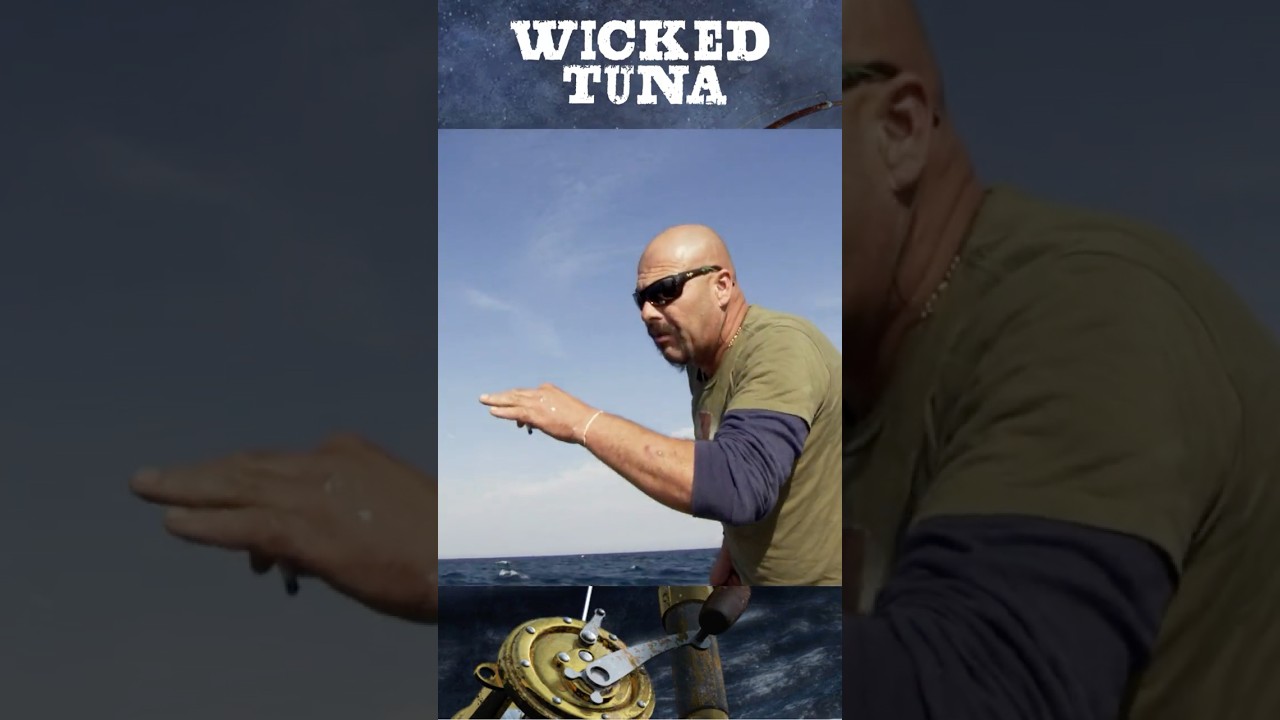 Как подсечь тунца с Дэйвом Марчиано - Wicked Tuna #шорты #wickedtuna #рыбалка #советыпорыбалке