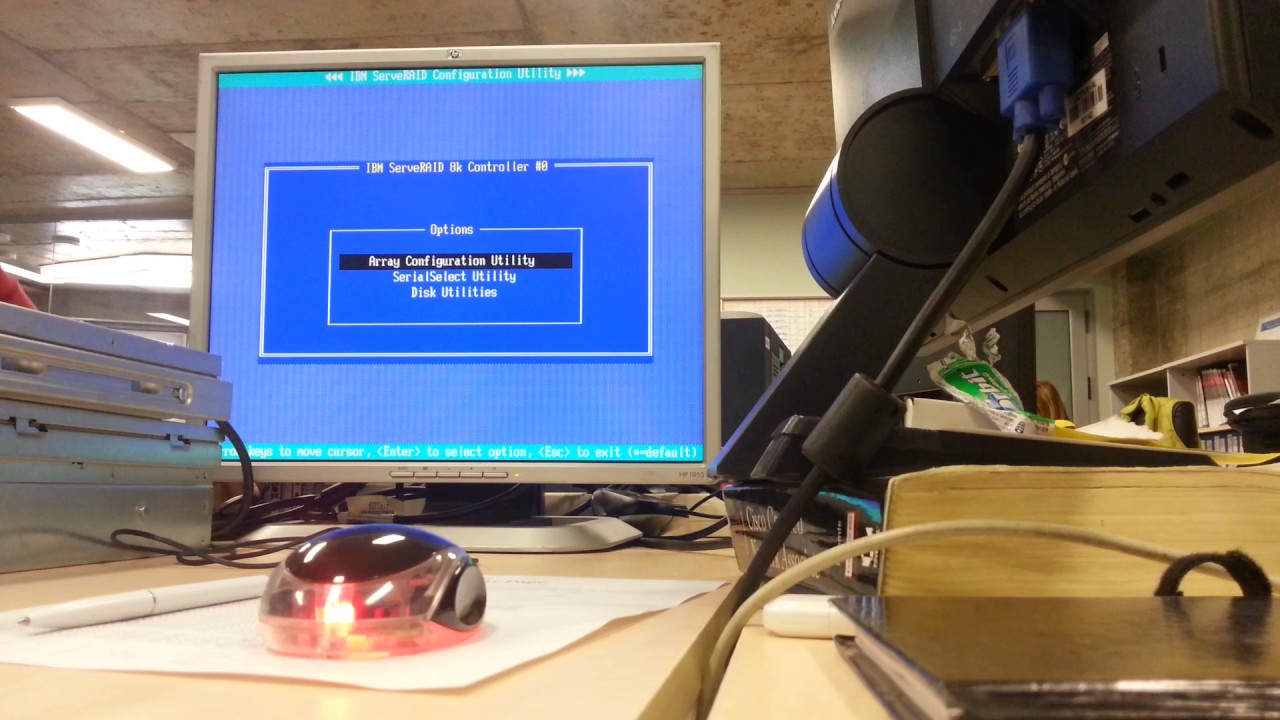 IBM SYSTEM X3650  model 7979 RAID 1 DEFAULT CONFIG