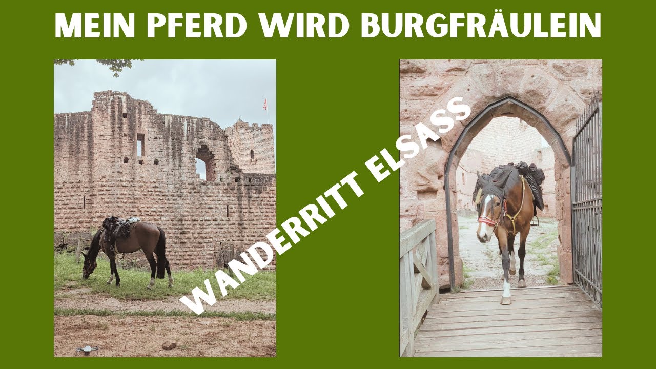 Wanderitt Burgen und Berge im Elsass Vogesenritt | Wanderreiten Doku #4