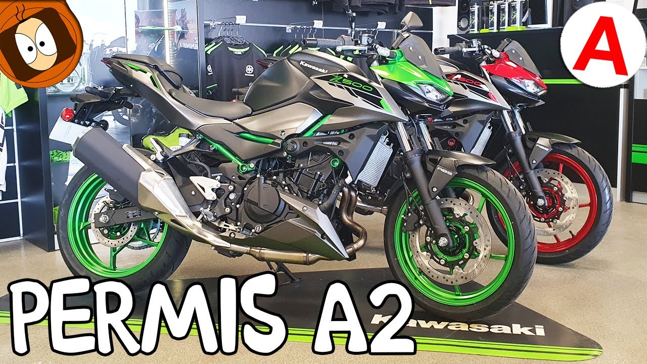 QUELLES A2 CHOISIR CHEZ KAWASAKI en 2024 !