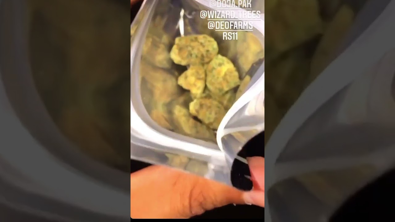 DOJA.PAK - RS11 #doja #rs11 #weed #cali #topshelf #loudpack #gas #trending #viral #youtubeshorts