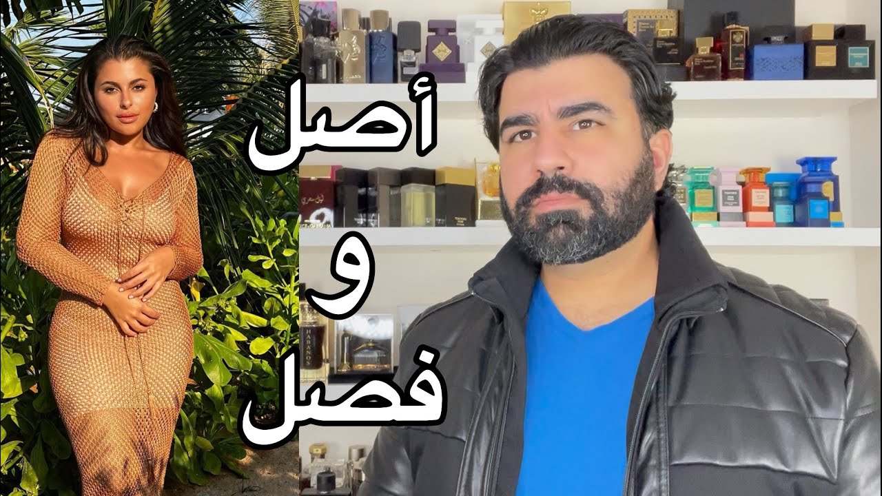حقيقة ادعاءات مينا الشيخلي حول شركتها ( أصل وفصل)