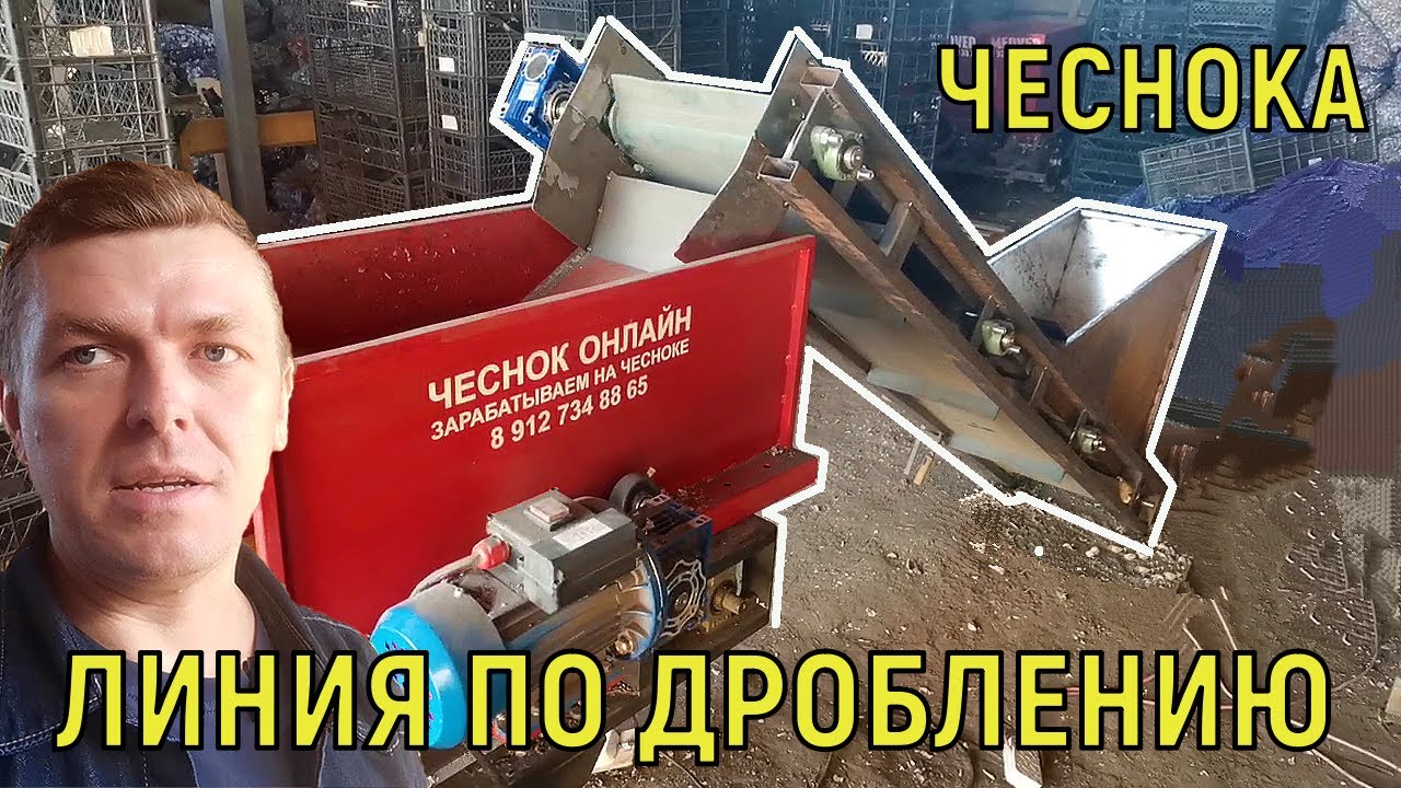 ДРОБЛЕНИЕ ЧЕСНОКА ПРОИЗВОДИТЕЛЬНОСТЬ 1 ТОННА В СМЕНУ!!!