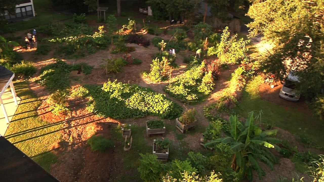 Permaculture Paradise: Edgewood Gardens Update 2014!