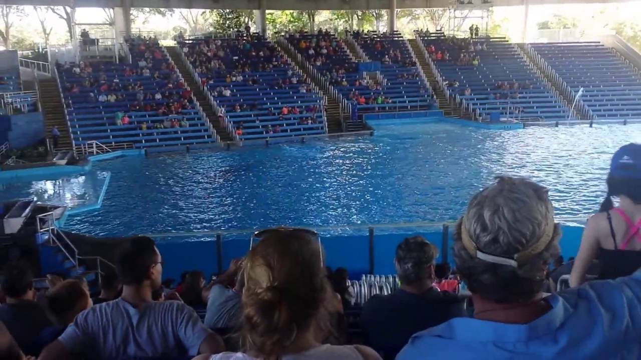 One Ocean! SeaWorld San Antonio 2016!