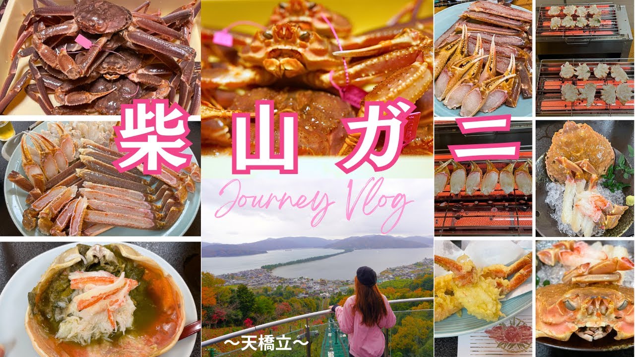 【兵庫/京都】最高級松葉ガニ「柴山がに」を食す🦀天橋立も観光‼️🩷🍁