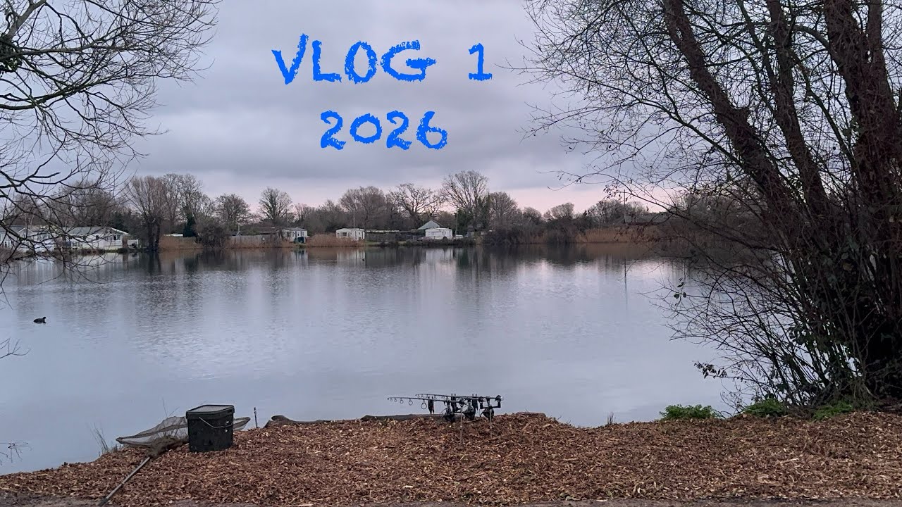 Vlog1 2026 day ticket 50 campaign 