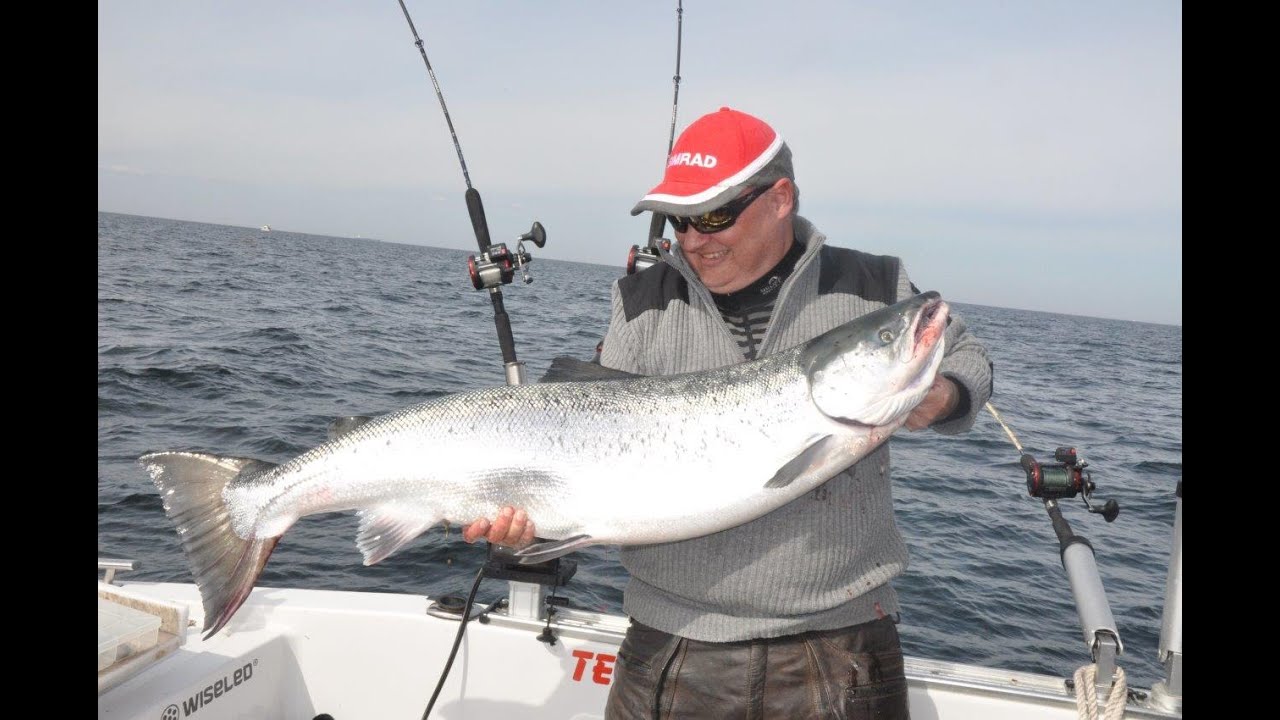 Team Bilde Bornholm 2020 Laks 18,5 kg