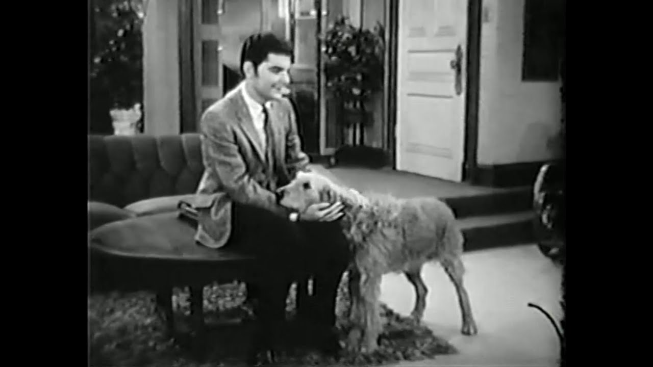 He & She (1967-1968) - Episode 23: Dog's Best Friend