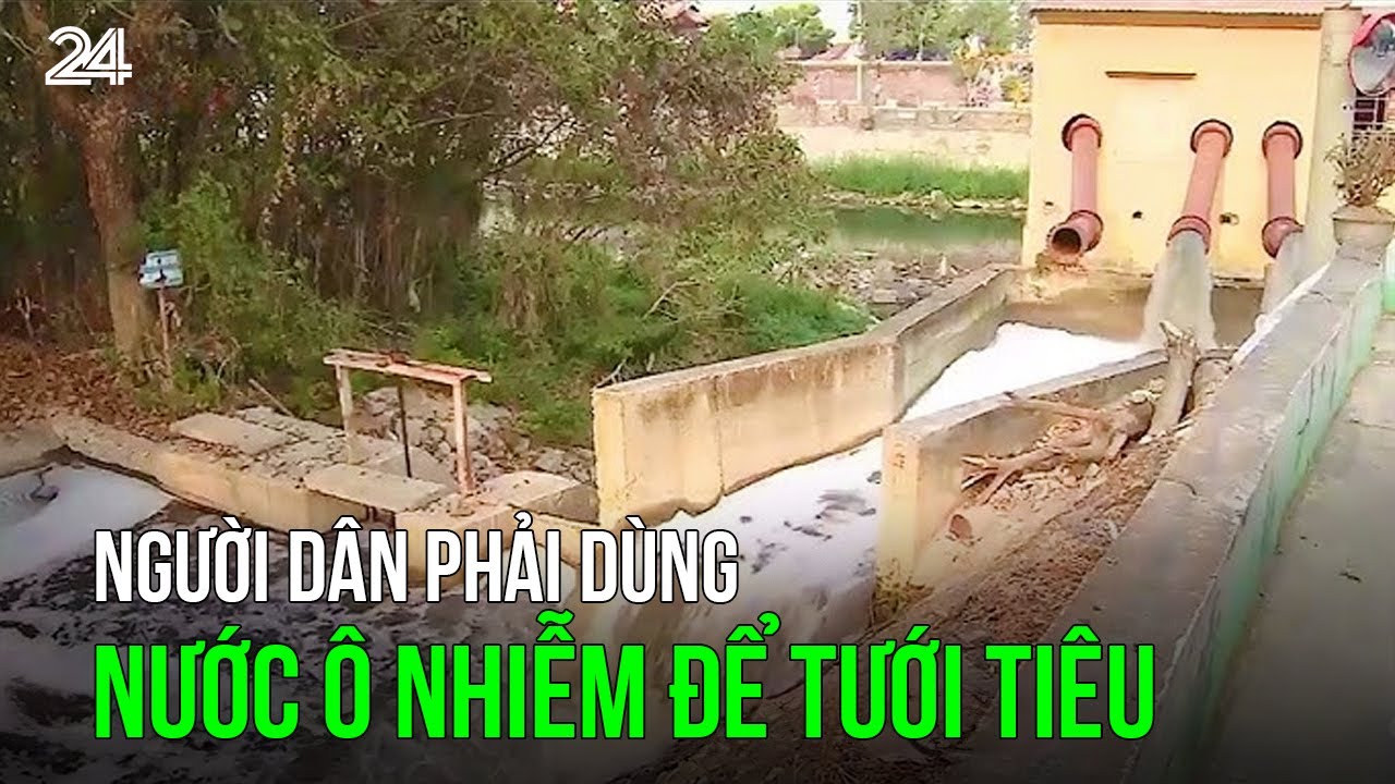 Người dân phải dùng nước ô nhiễm để tưới tiêu | VTV24
