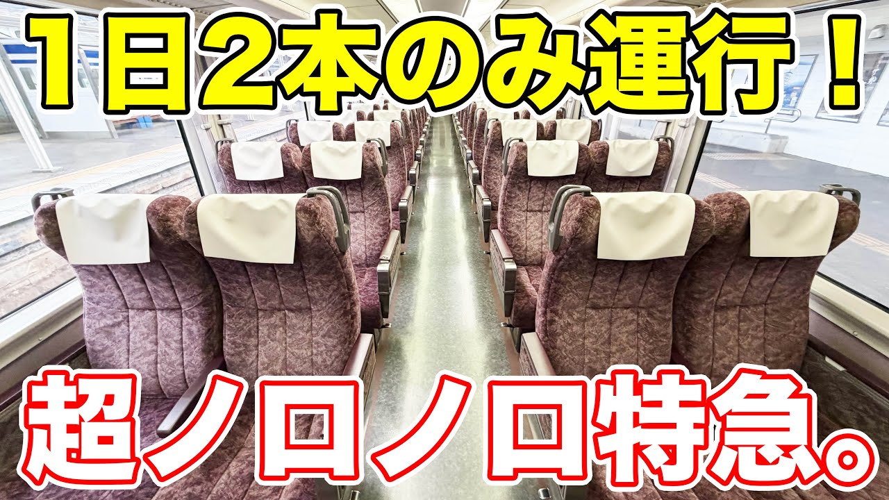 【1日2本】乗車難易度が超高いローカル特急に乗ってきた。