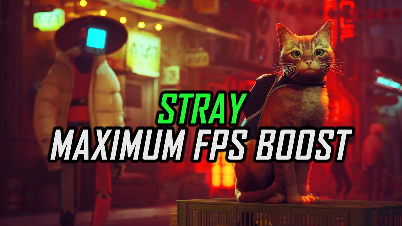 Stray | How to Get Maximum FPS Boost and Fix Lag