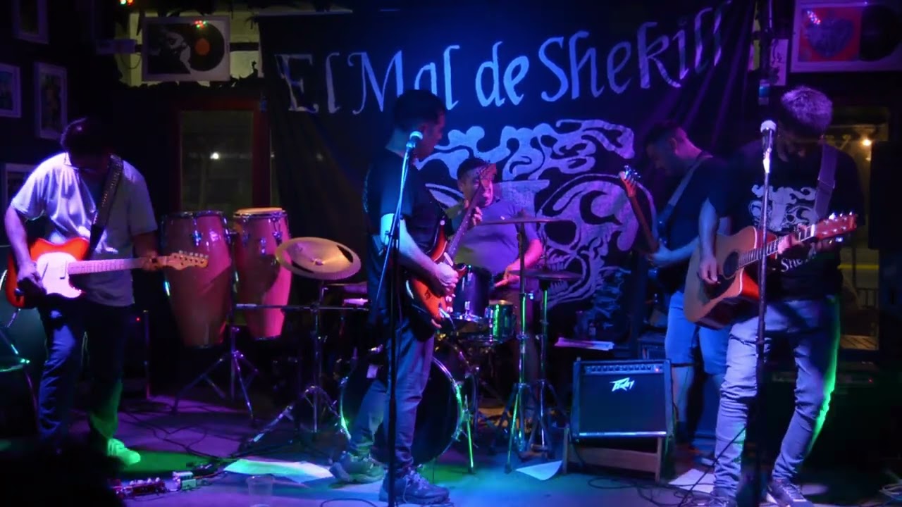 elmaldeshekill 14 años (musica)