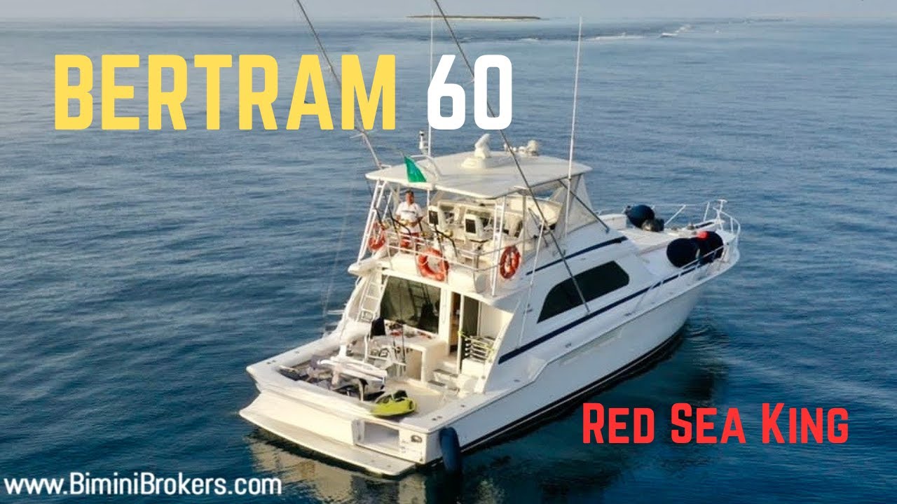 Bertram 60