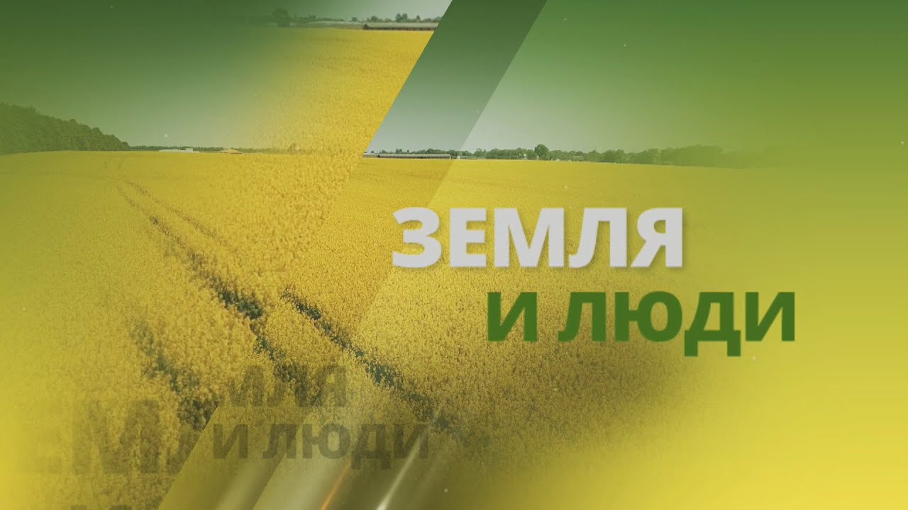 КАК ПОЛУЧАЕТСЯ ЭКСПОРТ