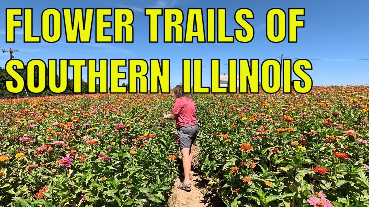 A 150 Year Old Orchard in Southern Illinois