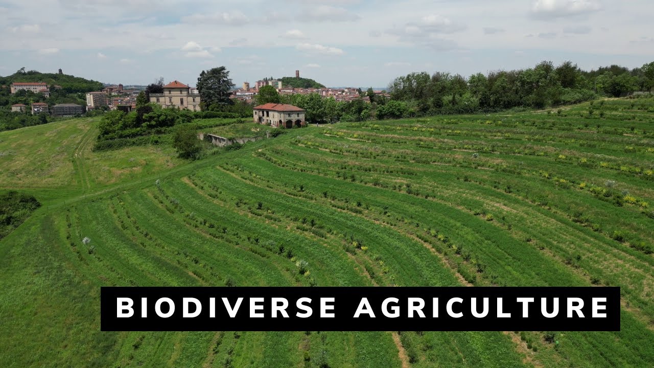 Camila Arza Garcia - Biodiverse Agriculture