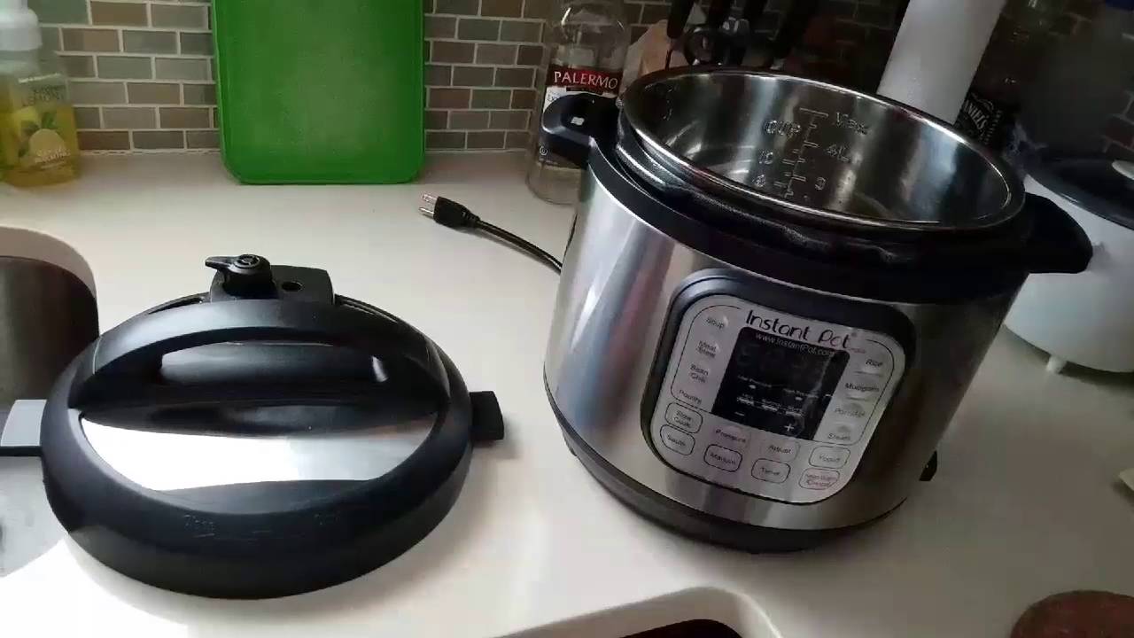 Instant Pot Pressure Cooker Water Test / Sterilization