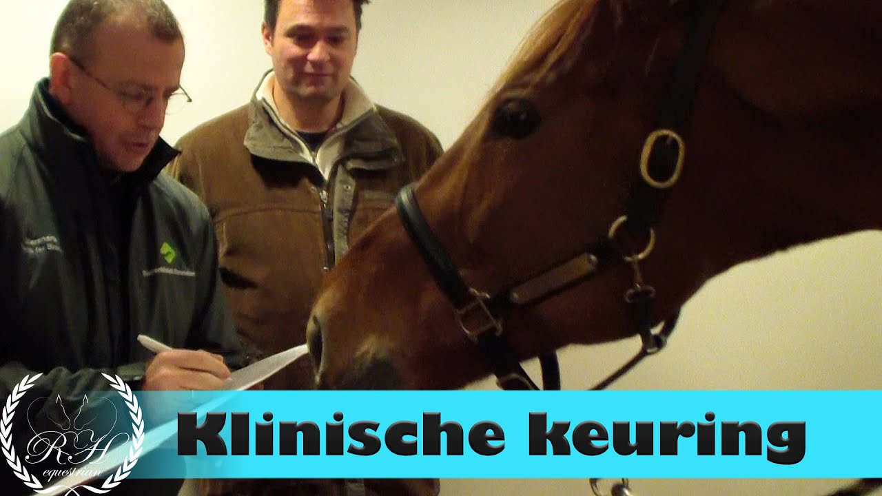 De Klinische Keuring van Verona - keuring paard