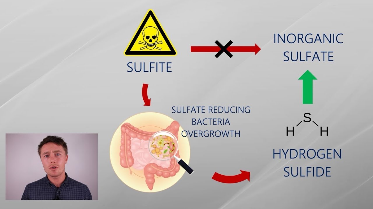 Can SIBO be a Protective Adaptation? Gut Dysbiosis, Hydrogen Sulfide & Sulfate