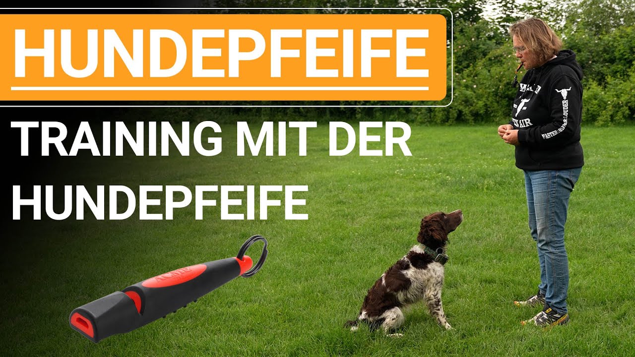 🐕🐶 Stephanie Salostowitz ➡️ Training mit der Hundepfeife ➡️ Praxisvideo 🐕🐶✔️