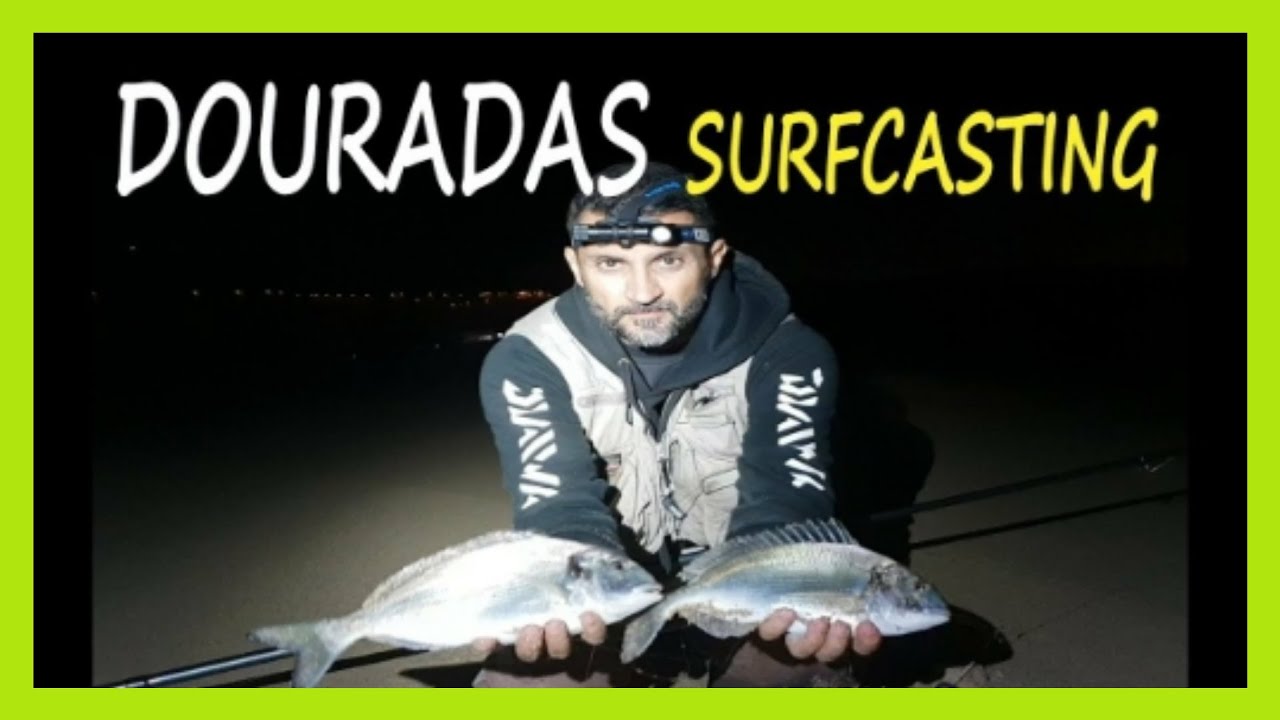 SURFCASTING - DOURADAS NA PESCA DE PRAIA PORTUGAL