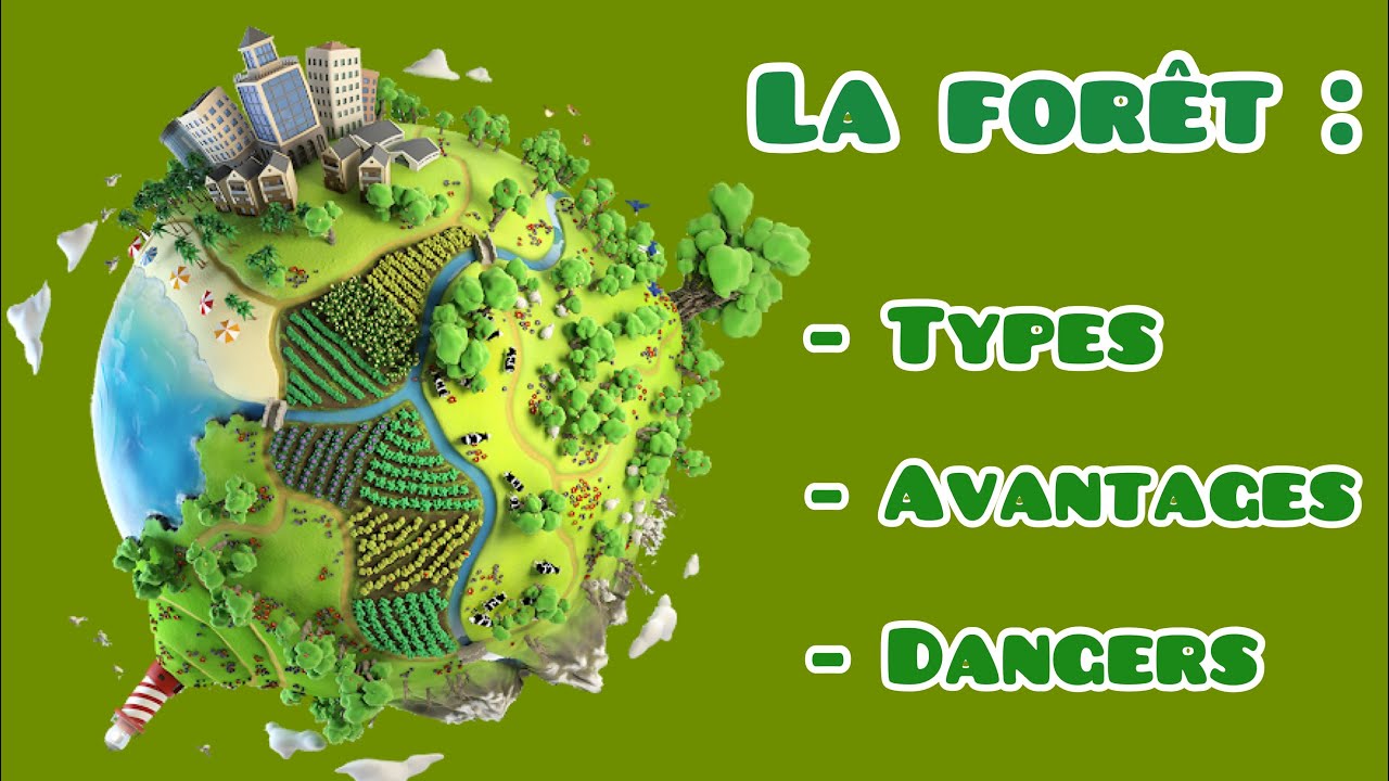 le rôle de la forêt:types,avantages;risques